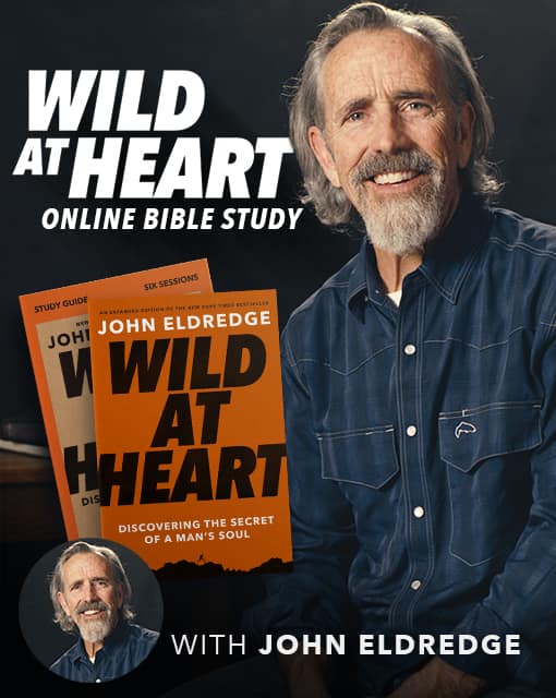 wild at heart bible study